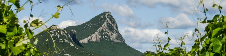 AOP Pic saint Loup - Chateau L'Euzière