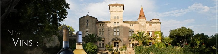 Chateau-Saint_Martin_de_la_Garrigue, Languedoc